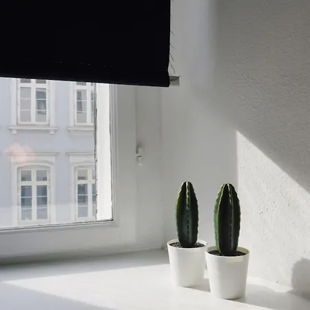 Lovely Nexto Norreport 303 Apartment